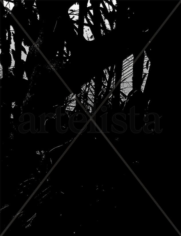 Bosque silencio