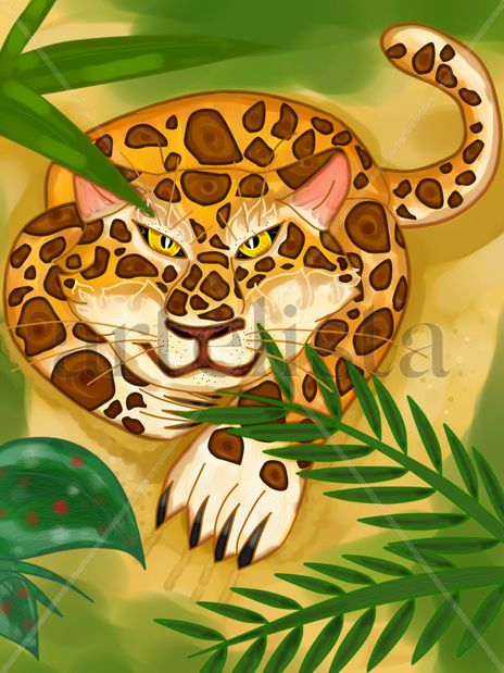 Jaguar escondido