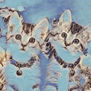 artedigitalpbrown