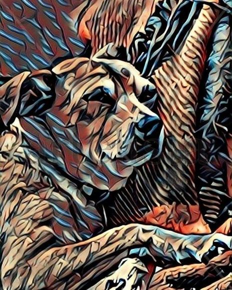 Artedigitalpbrown