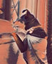 artedigitalpbrown