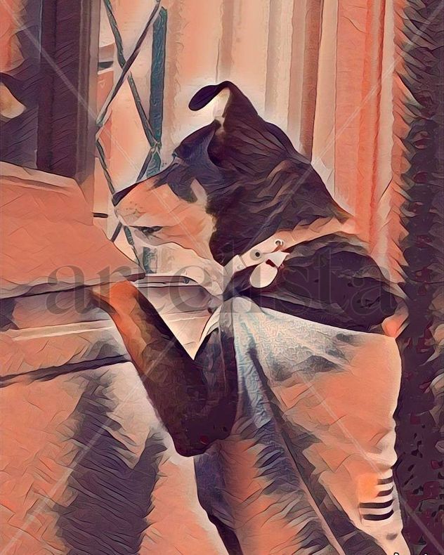 artedigitalpbrown