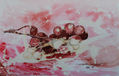 Uvas