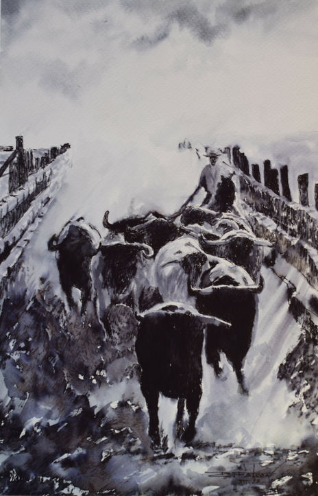 Corredero toros