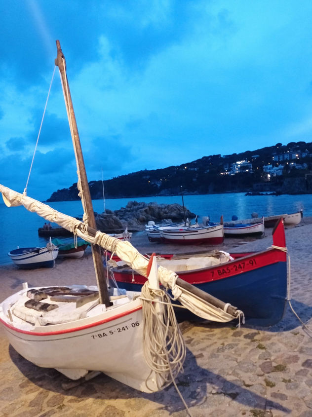 BARCAS DE PESCA