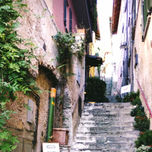 FOTOGRAFIA thumbnail 2