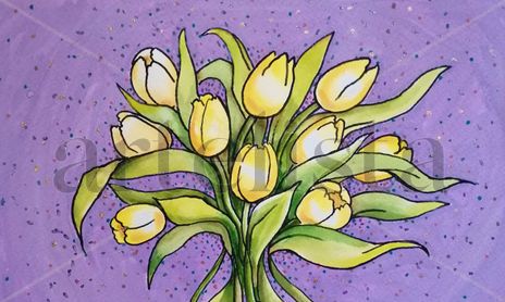 Tulipan