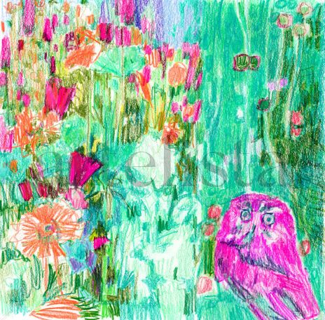 Red owl