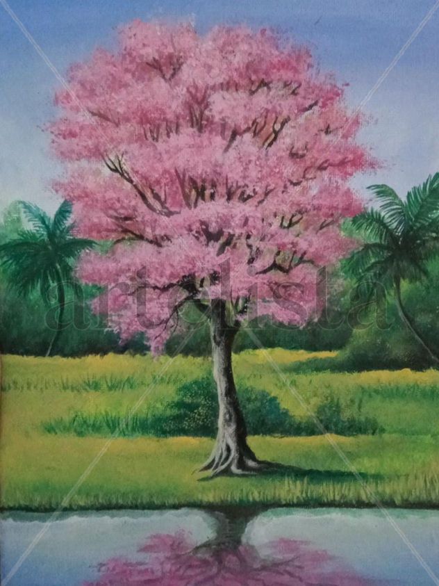 Macuilís de la selva baja