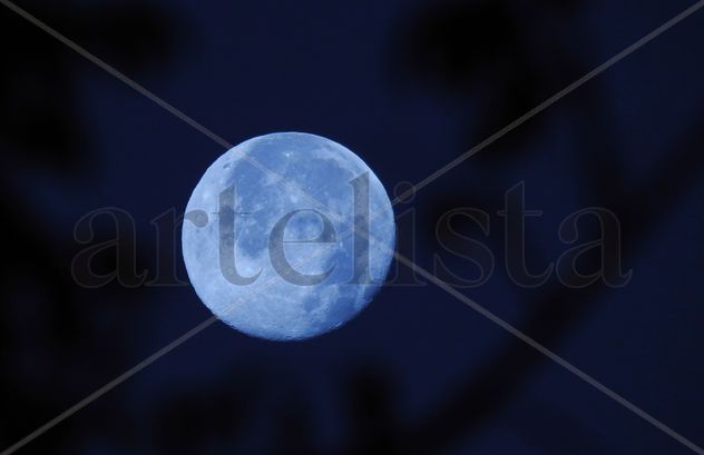 Noche de luna