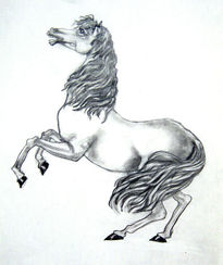 Caballo