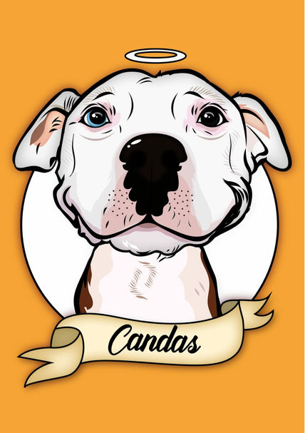 Candas