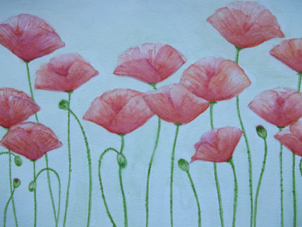 Danza de amapolas