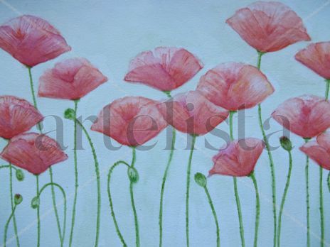 Danza de amapolas
