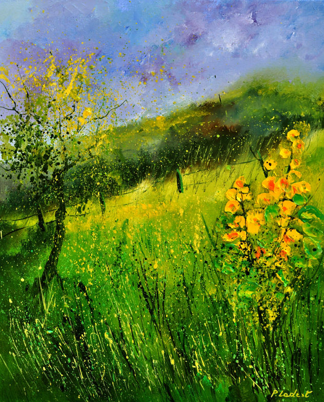 Summer field