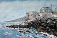 Boca Cangrejo (Tenerife)