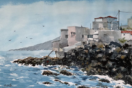 Boca Cangrejo...