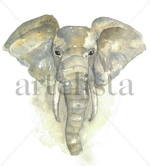 Elefante Watercolour Card Animals