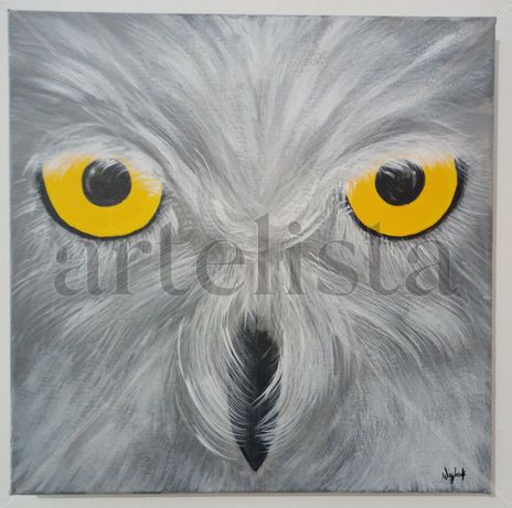 Mirada nival