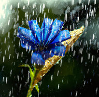 Flor azul en la lluvia