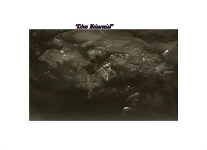 Kidess Melanconia