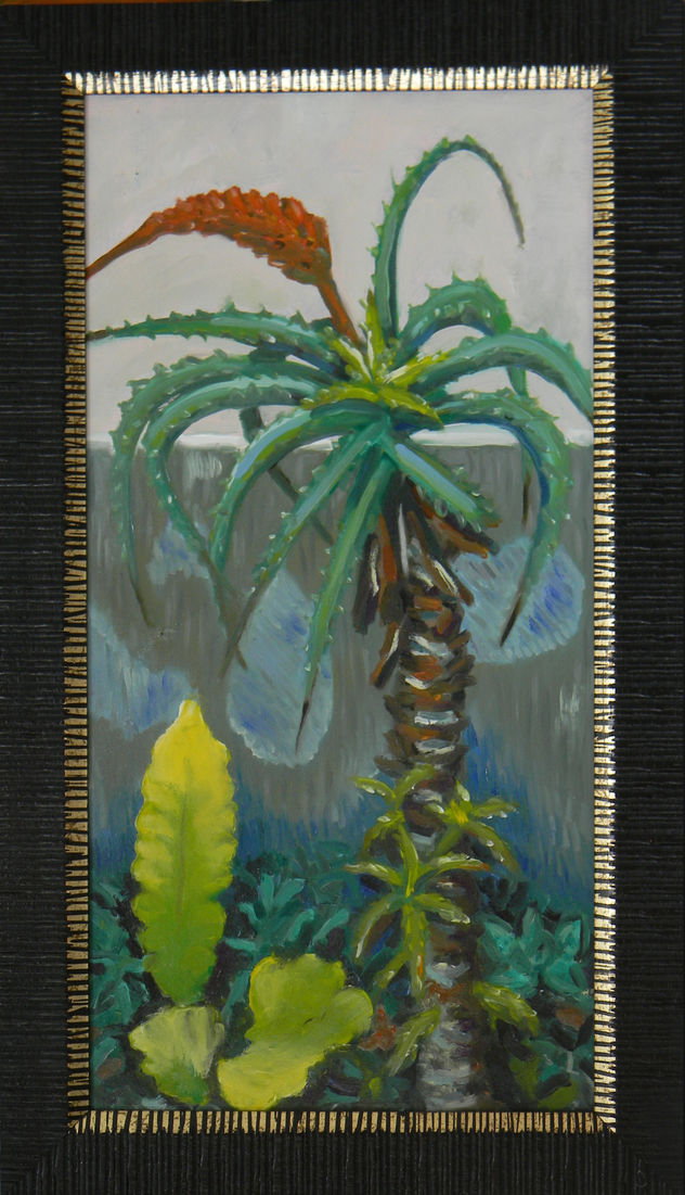 aloe