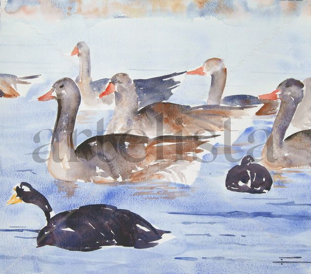 Patos