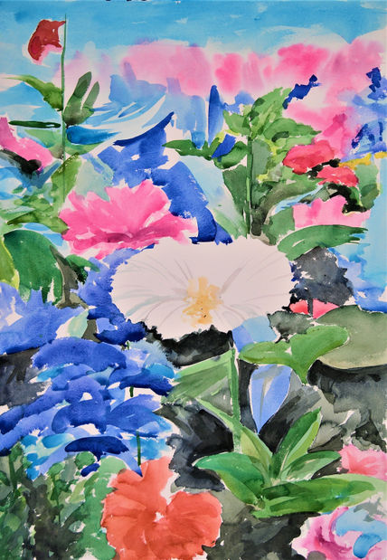 Campo floral