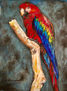 GUACAMAYO