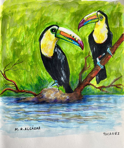 Tucanes
