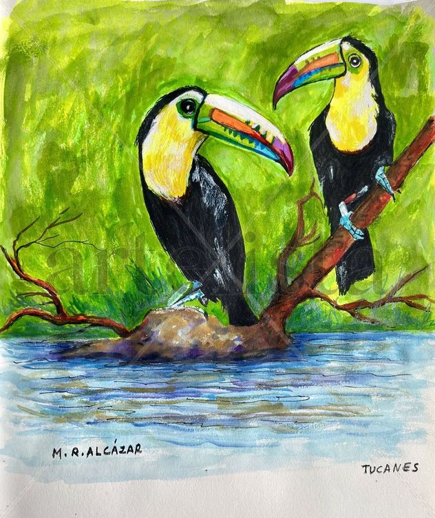 TUCANES
