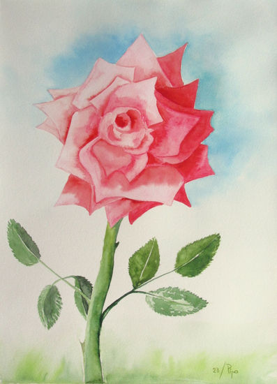 rosa Watercolour Paper Floral Painting