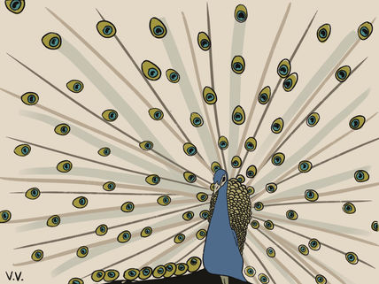 Pavo real