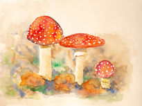 Amanita muscaria