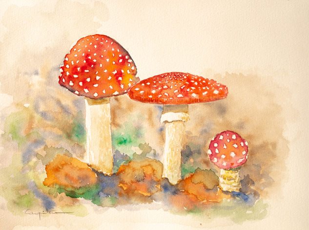 Amanita muscaria Watercolour Paper Landscaping