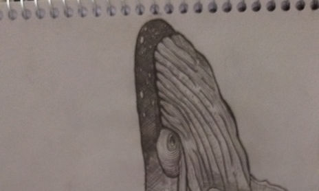 Animales