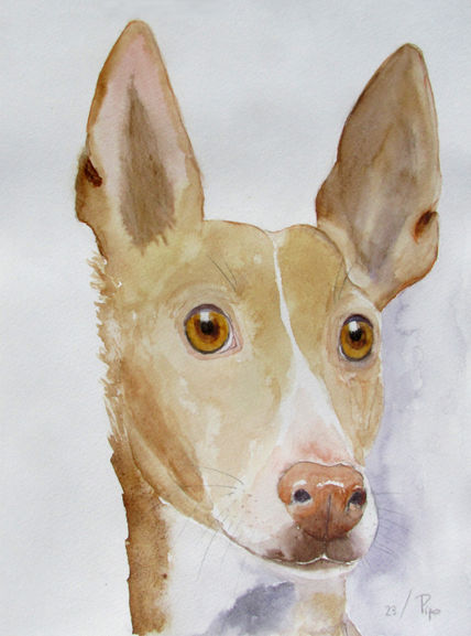 Alan
