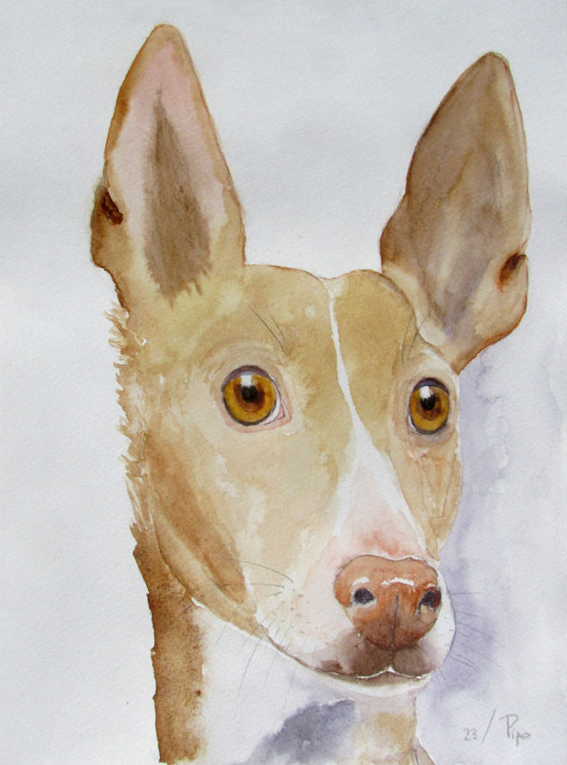 Alan