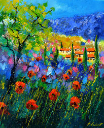 Poppies in Provence