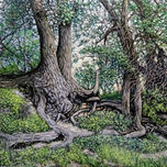 Paisaje / Landscape thumbnail 1