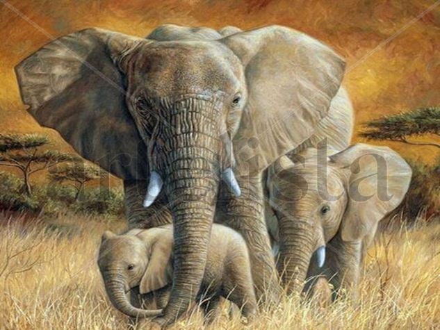 Familia de elefantes Oil Canvas Animals