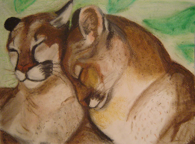 Pareja de pumas Pastel Card Animals