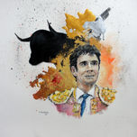 TOROS thumbnail 1