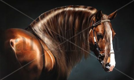 Caballos