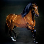 Caballos thumbnail 1