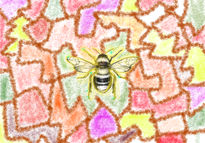 Abeja