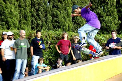 Skate