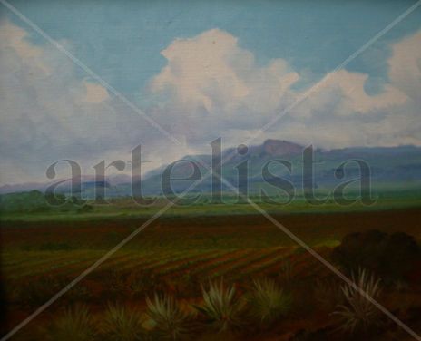 Paisaje Tequila