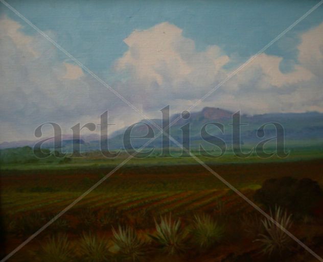 Paisaje Tequila
