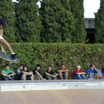 Skate thumbnail 2